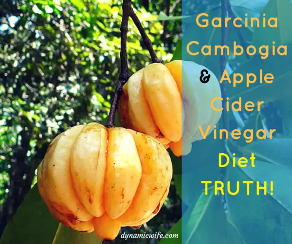 garcinia-cambogia-and-apple-cider-vinegar-diet-garcinia-cambogia