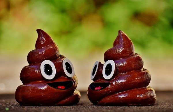 why-is-my-poop-black-more-poop-types-explained